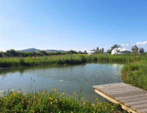 Glastonbury Wild Glamping